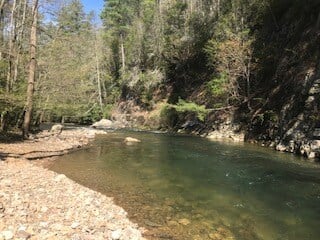 Beaver Damn Creek