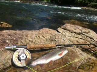 Watauga River at Sycamore Shoals